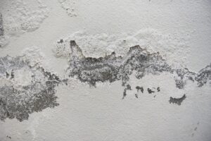 water damage in walls